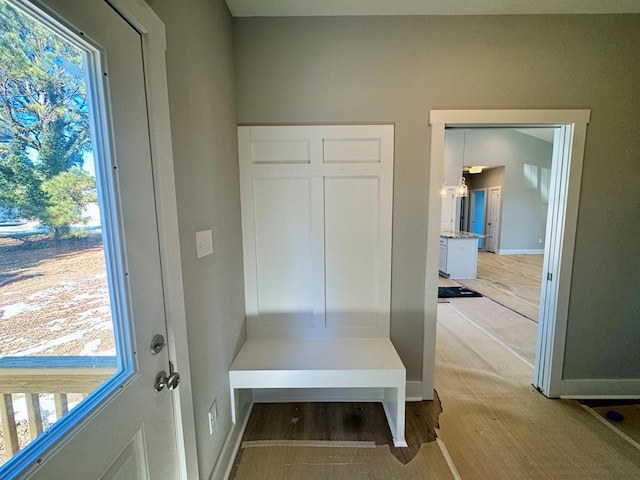 mudroom with a healthy amount of sunlight