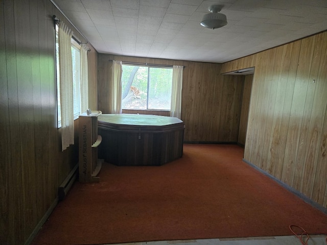 309 Riverview Dr, Heathsville, VA 22473 - bathroom featuring a baseboard heating unit and wooden walls