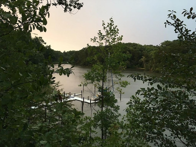 309 Riverview Dr, Heathsville, VA 22473 - water view with a wooded view