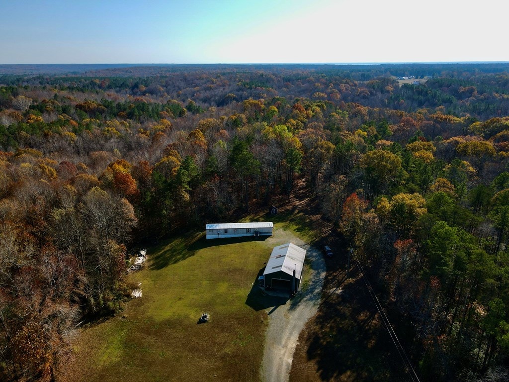 bird's eye view with a view of trees