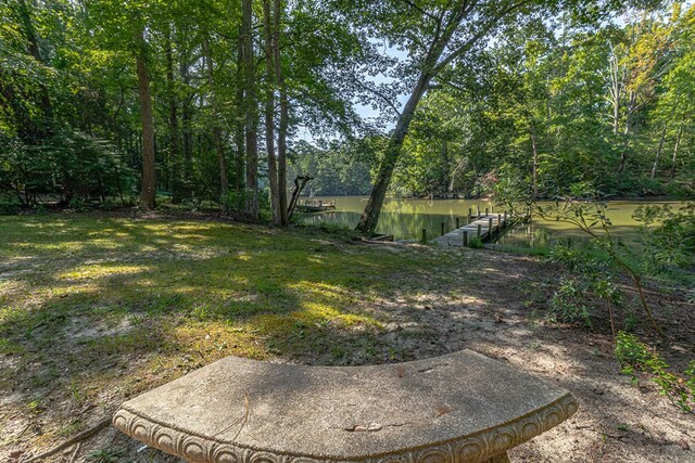 view of yard with a dock