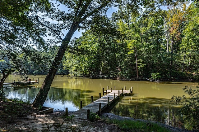 dock area with a water view