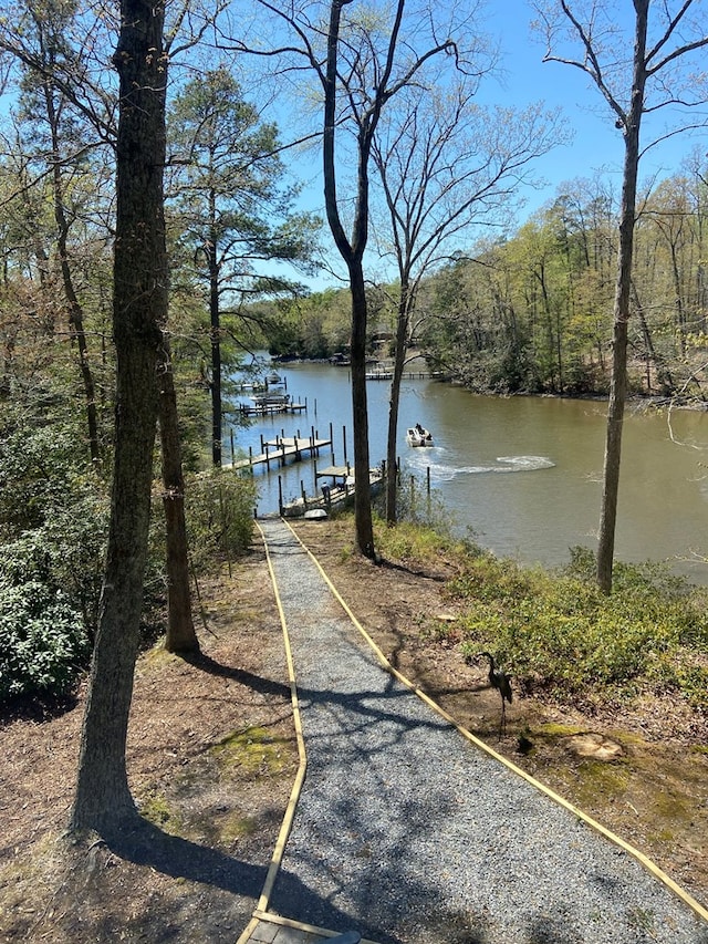 dock area with a water view