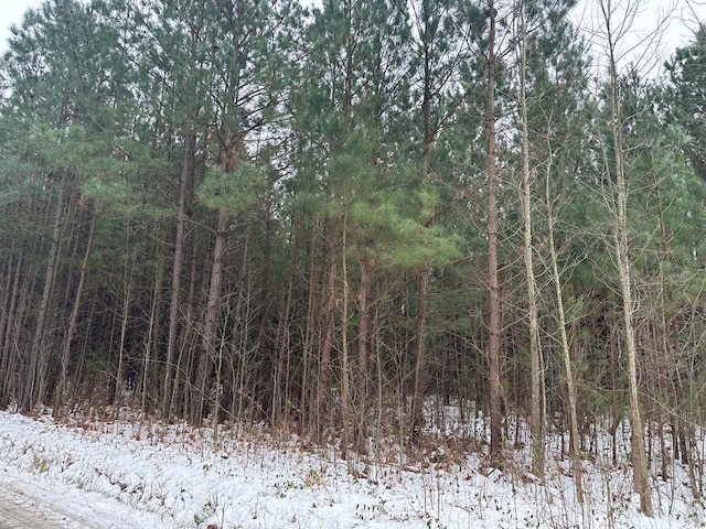 LOT1 Lewis Ln, Heathsville VA, 22473 land for sale