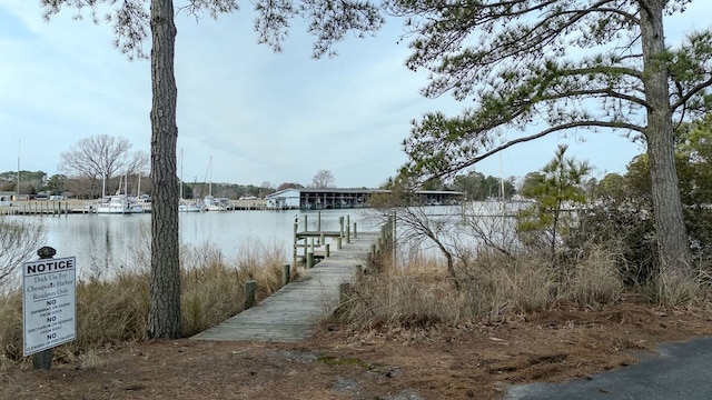 dock area featuring a water view