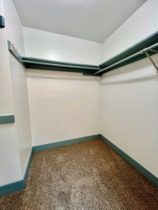 spacious closet with carpet floors