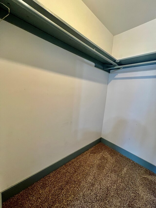 1113 Dillard St, Tappahannock, VA 22520 - walk in closet featuring carpet flooring