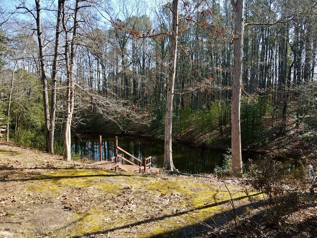 view of landscape featuring a water view