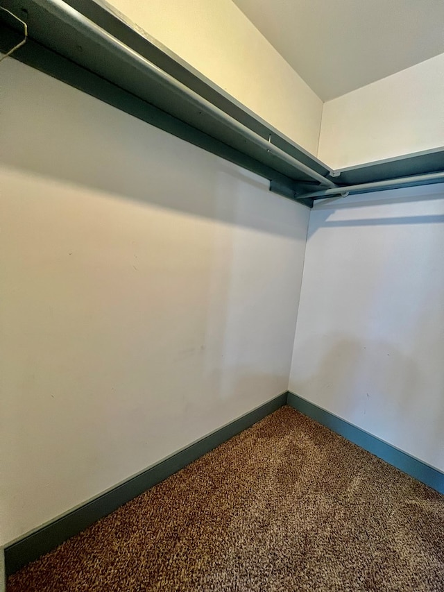 spacious closet with carpet floors