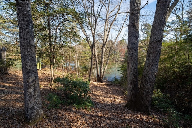 view of landscape with a water view