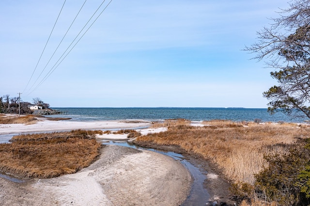 water view featuring a beach view