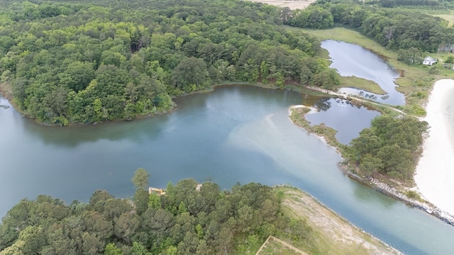 1150 Brammer Dr, Heathsville, VA 22473 - bird's eye view of a large body of water and a forest