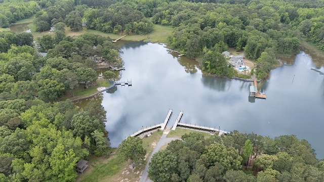 1150 Brammer Dr, Heathsville, VA 22473 - view of property location with a large body of water and a forest