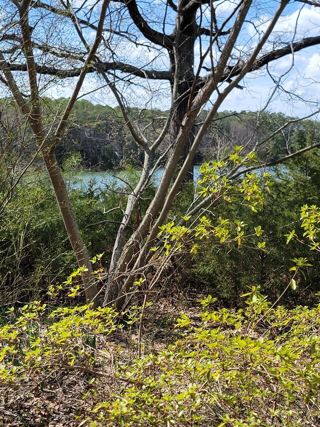 922 Skipjack Rd, Kinsale, VA 22488