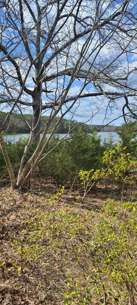 922 Skipjack Rd, Kinsale, VA 22488