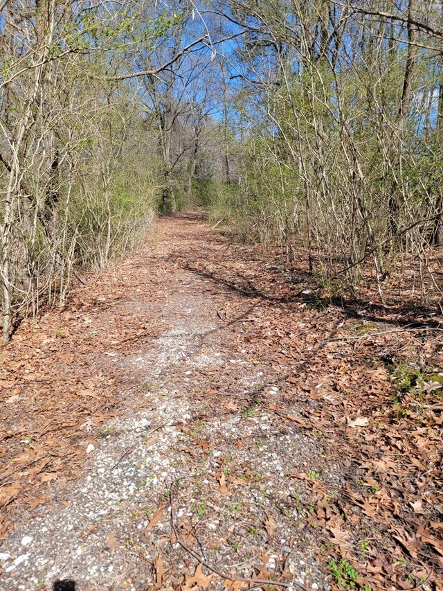 922 Skipjack Rd, Kinsale, VA 22488
