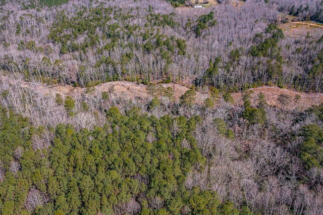 11.4ACRE Riverwood Dr, Lancaster, VA 22503 - photo 40