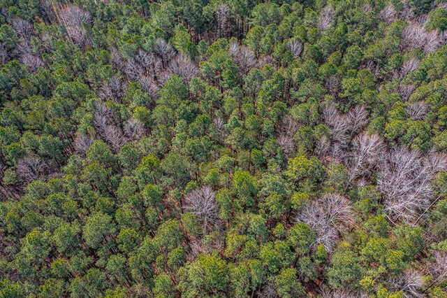11.4ACRE Riverwood Dr, Lancaster, VA 22503 - photo 29