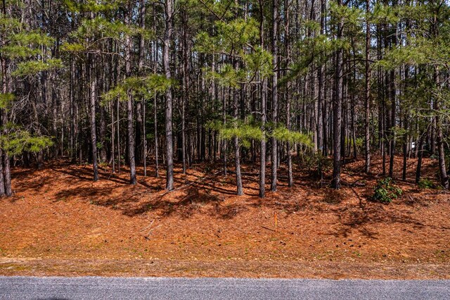 11.4ACRE Riverwood Dr, Lancaster, VA 22503 - photo 38