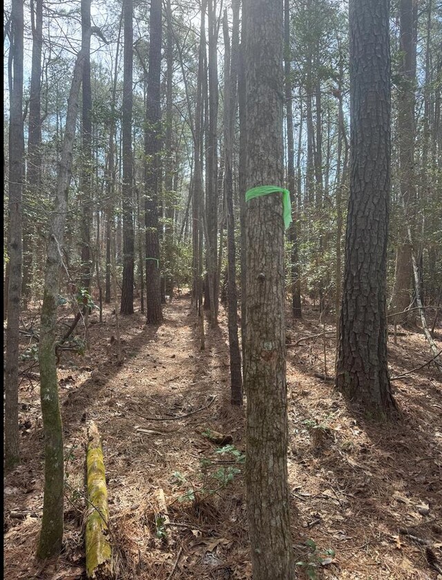 11.4ACRE Riverwood Dr, Lancaster, VA 22503 - photo 11
