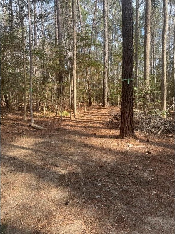 11.4ACRE Riverwood Dr, Lancaster, VA 22503 - photo 9