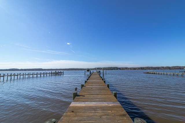 dock area with a water view