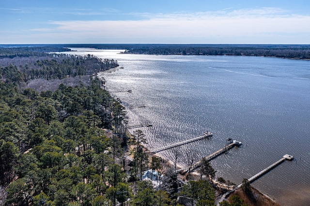 birds eye view of property featuring a water view and a view of trees