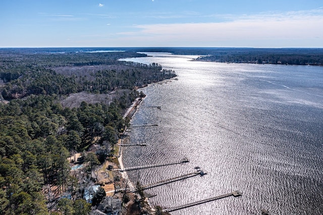 drone / aerial view featuring a water view and a view of trees