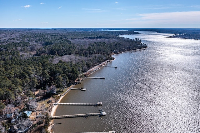 aerial view featuring a water view and a wooded view