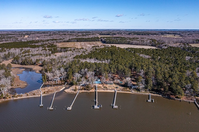 drone / aerial view with a water view and a view of trees