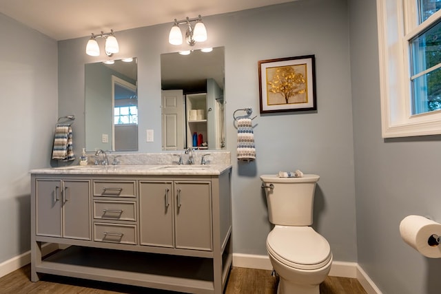 bathroom featuring vanity, wood-type flooring, and toilet