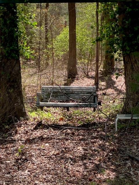 809 Salisbury Park Rd, Hague, VA 22469 - photo 14
