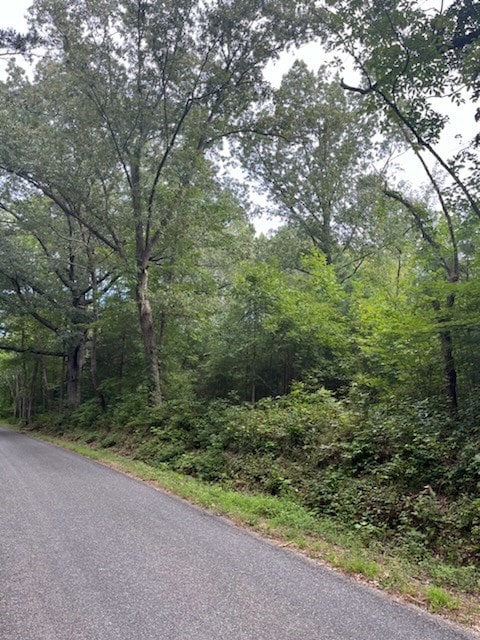 Listing photo 2 for 14ACRES Betts Bottom Rd, Heathsville VA 22473