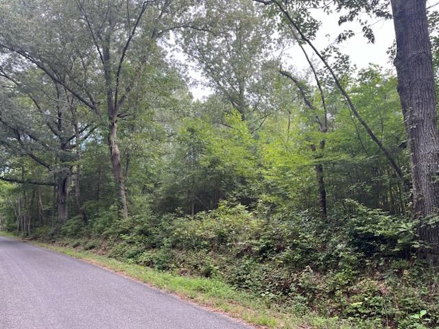 14ACRES Betts Bottom Rd, Heathsville VA, 22473 land for sale