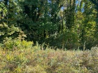 00 Carters Cove Dr, Weems VA, 22539 land for sale