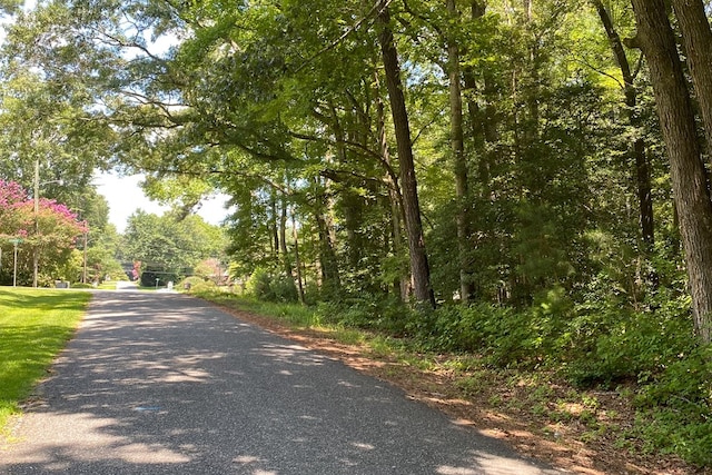 LOT11C Walnut St, Kilmarnock, VA 22482 - photo 2