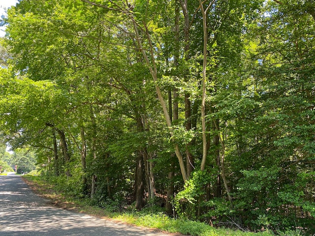LOT11C Walnut St, Kilmarnock, VA 22482 - photo 5