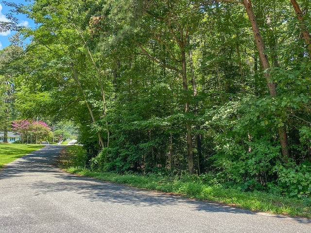 LOT11C Walnut St, Kilmarnock, VA 22482 - photo 4