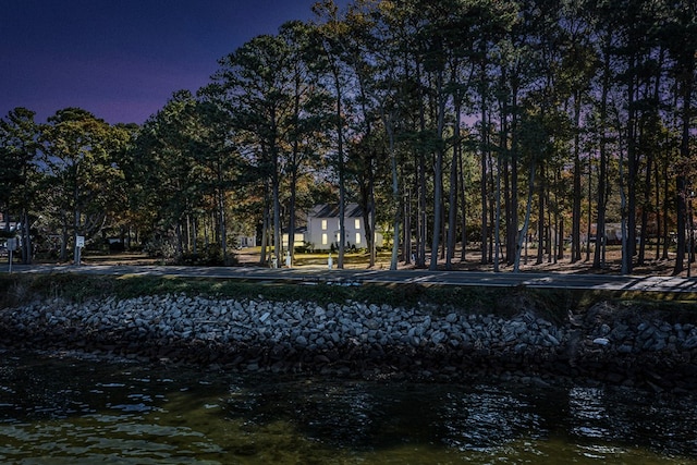 894 Old Ferry Rd, Hudgins, VA 23076 - photo 10