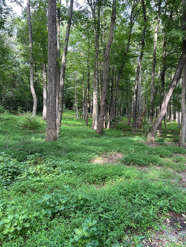 Listing photo 2 for LOT037 Crosshills Rd, Heathsville VA 22473