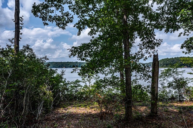 LOT2 Hinton Farm Ln, Heathsville, VA 22473 - photo 31