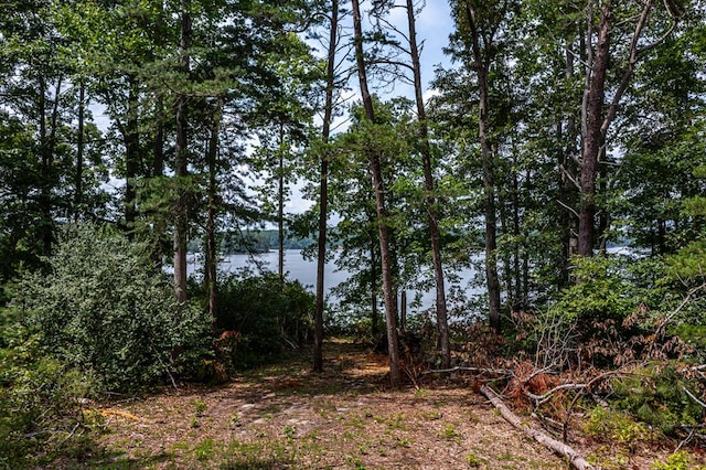 LOT2 Hinton Farm Ln, Heathsville, VA 22473 - photo 12