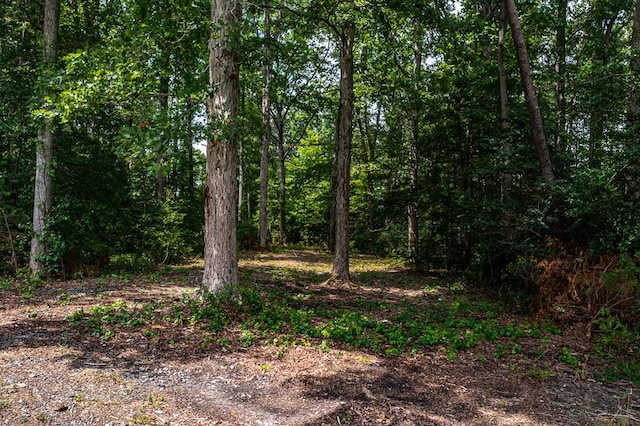 LOT2 Hinton Farm Ln, Heathsville, VA 22473 - photo 34