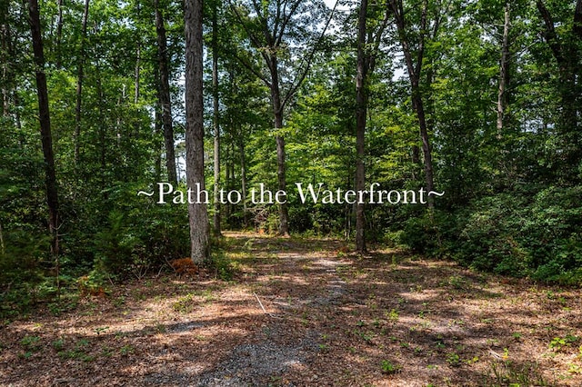 LOT2 Hinton Farm Ln, Heathsville, VA 22473 - photo 5