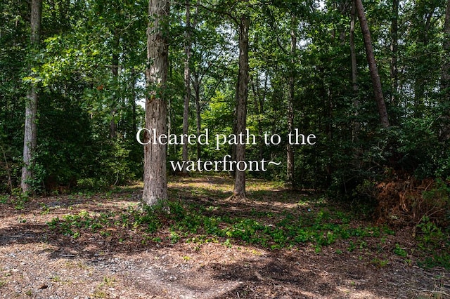 LOT2 Hinton Farm Ln, Heathsville, VA 22473 - photo 9