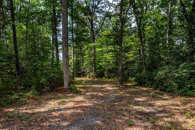 LOT2 Hinton Farm Ln, Heathsville, VA 22473 - photo 35