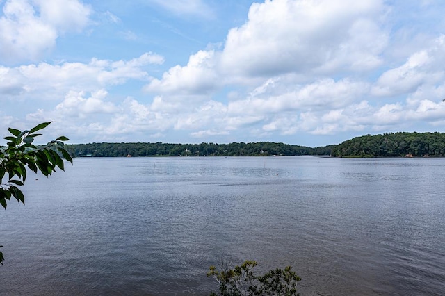 LOT2 Hinton Farm Ln, Heathsville, VA 22473 - photo 43