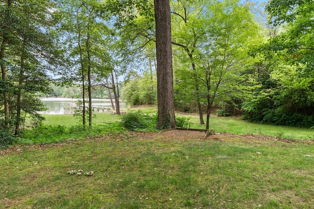 367 Edgewater Ln, Montross, VA 22520 - view of green lawn with a water view