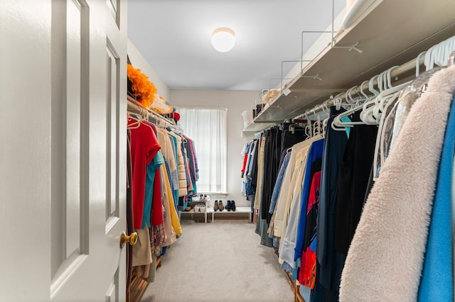 walk in closet featuring carpet