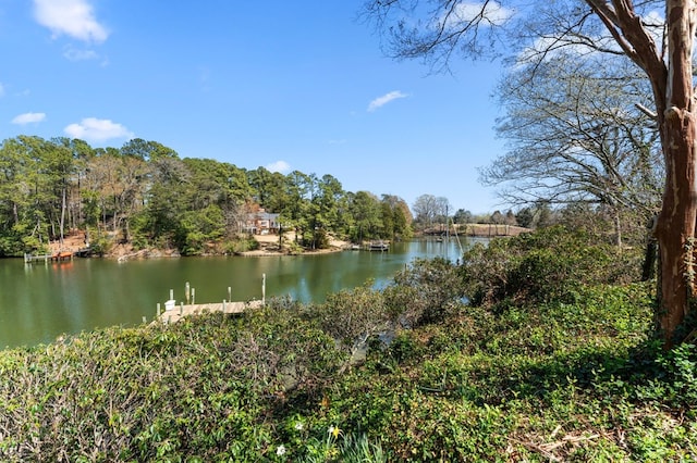 269 The Ln, Irvington, VA 22480 - water view